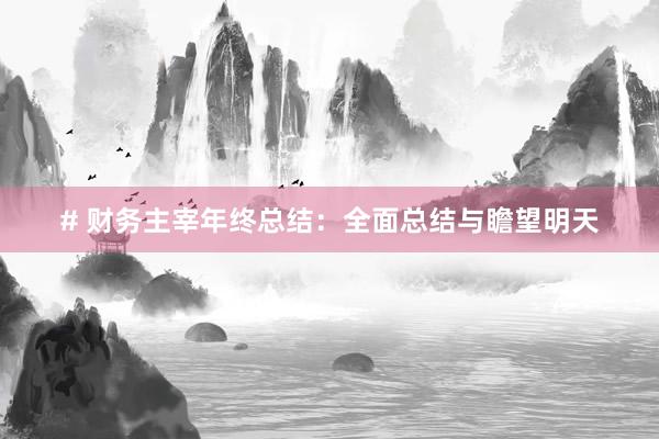 # 财务主宰年终总结：全面总结与瞻望明天
